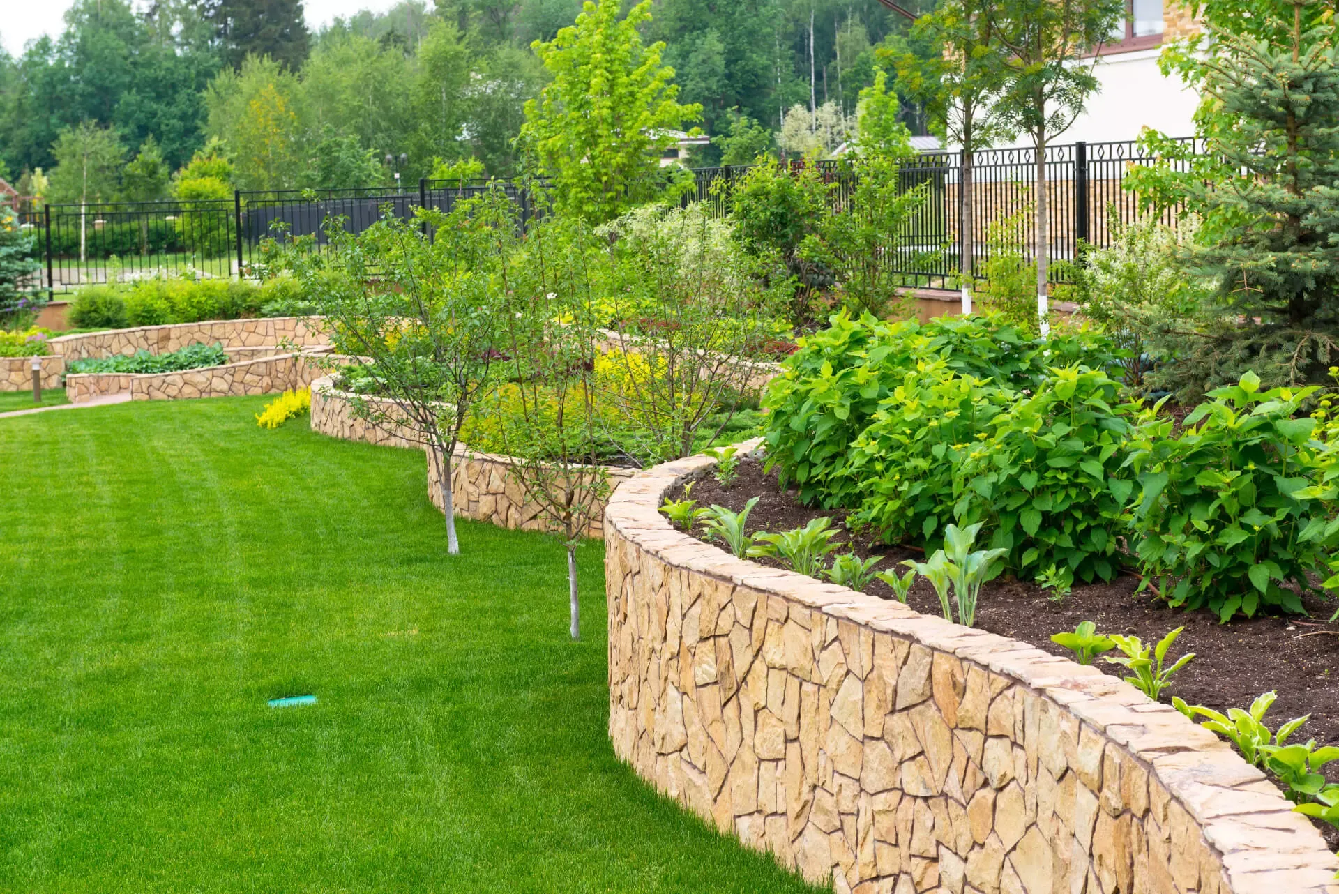 Create Your Dream Yard with Professional Landscaping in Greensboro