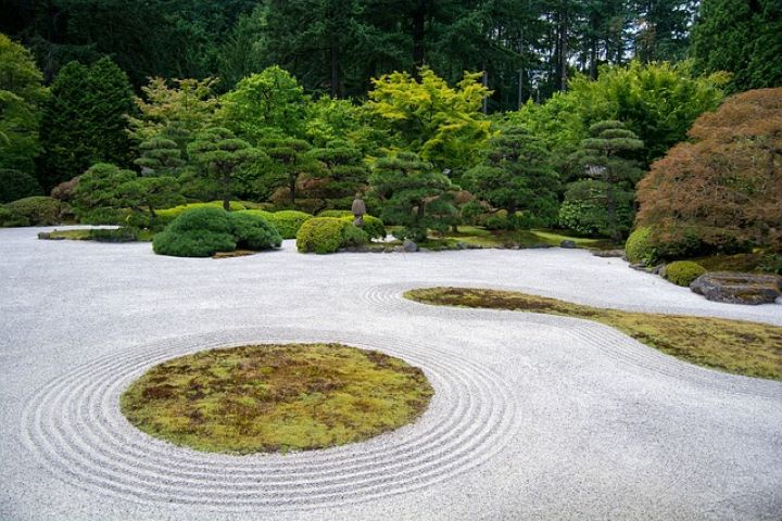 Year-Round Lawn Care: Essential Landscaping Services in Greensboro, NC