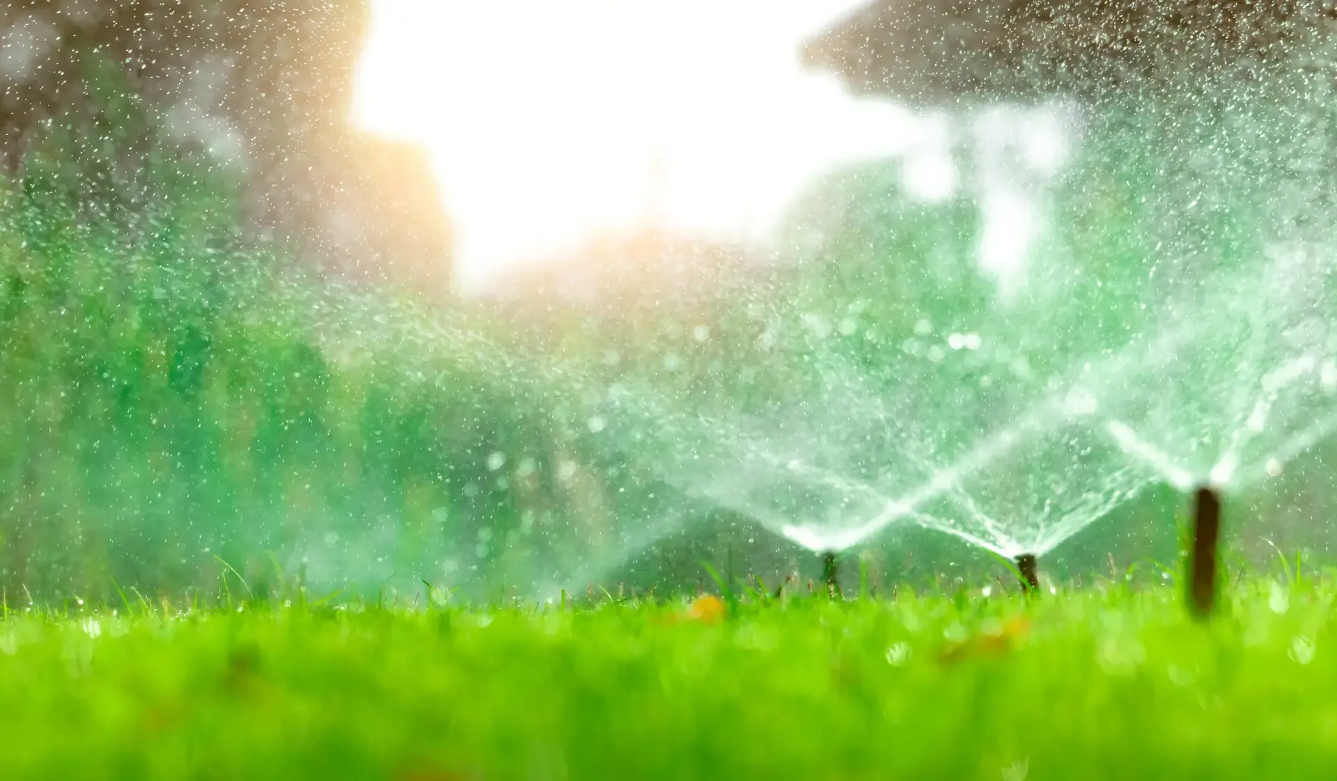 Irrigation Solutions for a Lush Lawn in Greensboro, NC